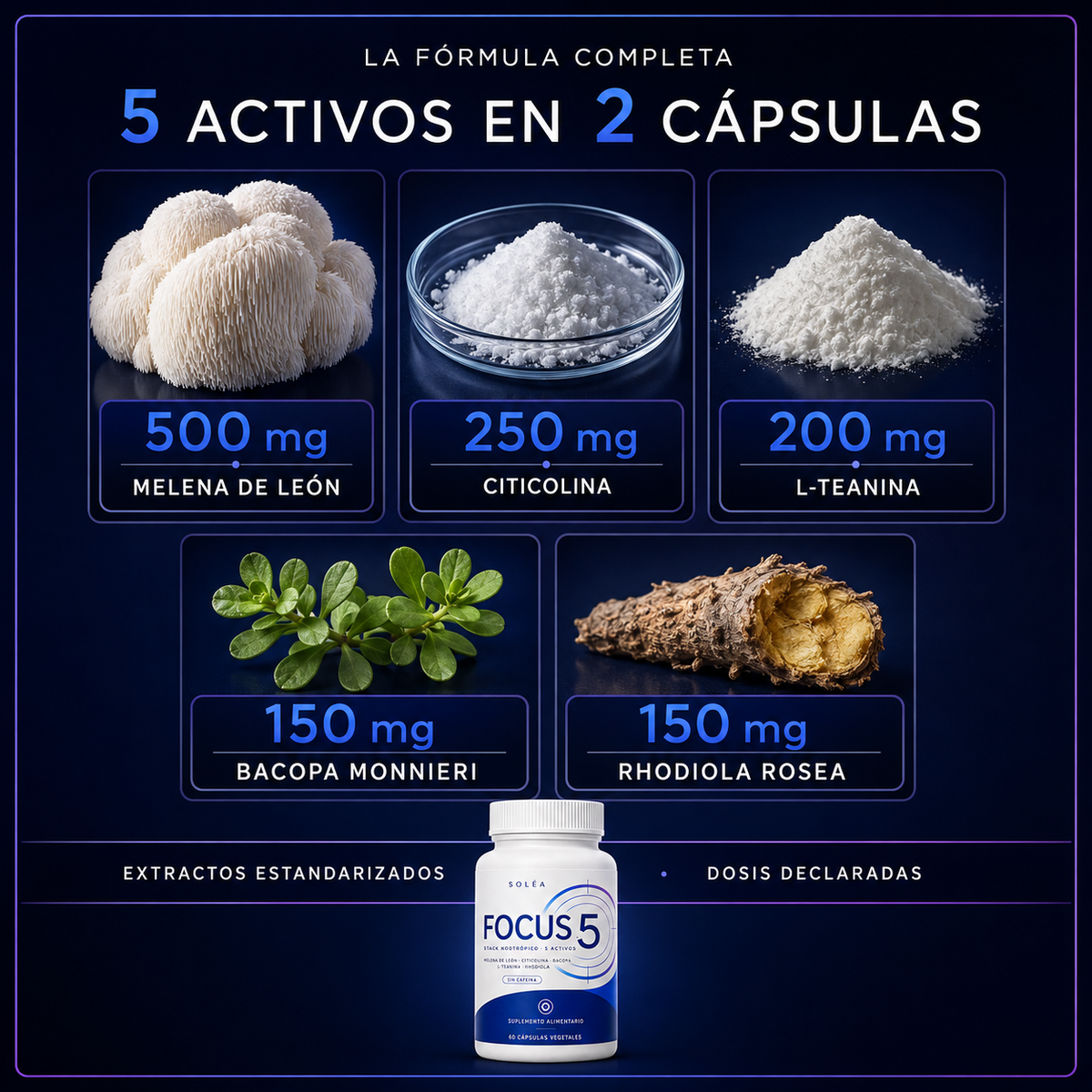 FOCUS 5